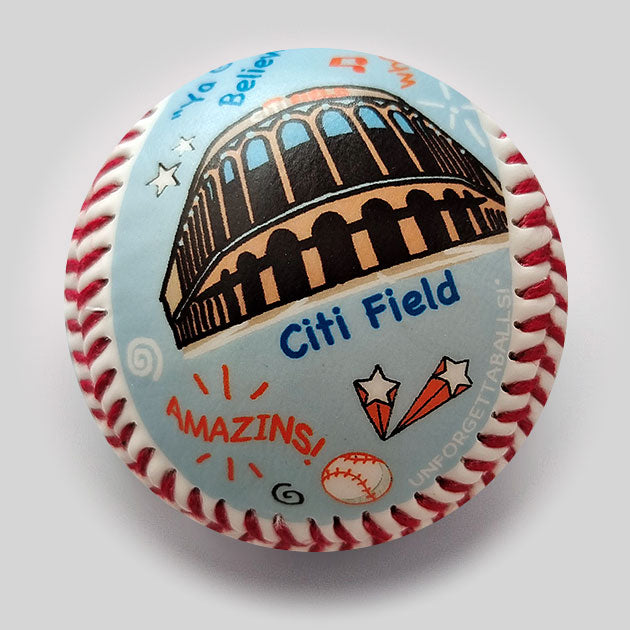 Die-Hard Fan: Citi Field Park