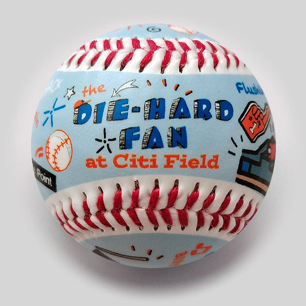 Die-Hard Fan: Citi Field Park