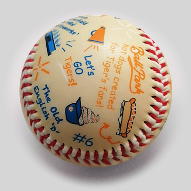 Die-Hard Fan: Comerica park