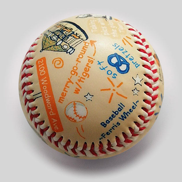 Die-Hard Fan: Comerica park