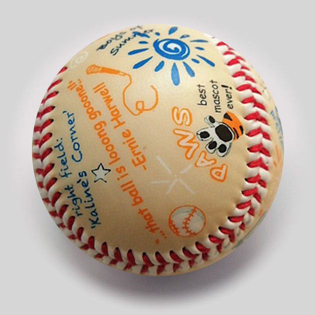 Die-Hard Fan: Comerica park