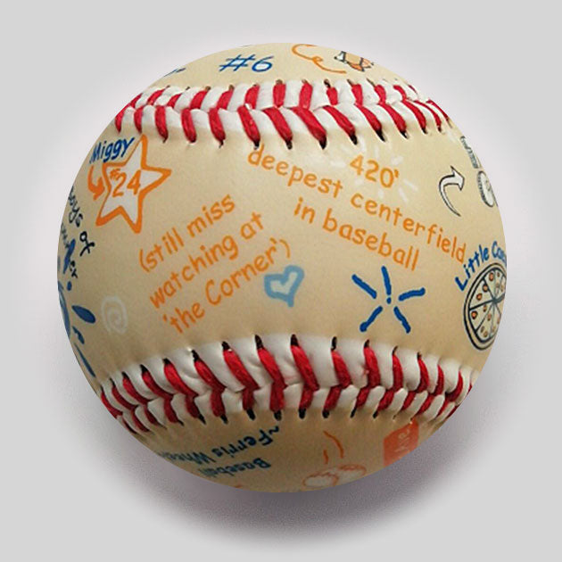 Die-Hard Fan: Comerica park