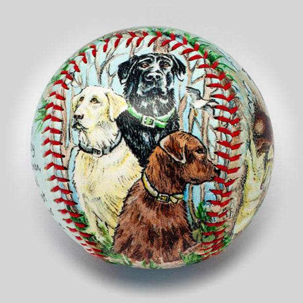 Labrador Retriever Baseball