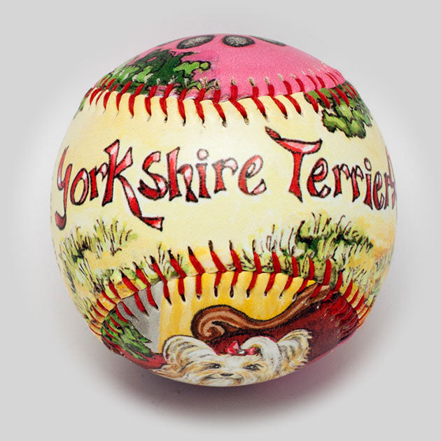 Yorkshire Terrier Baseball